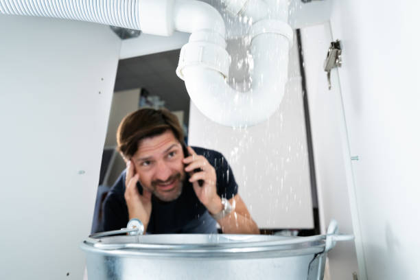 Best Plumbing Repair Near Me  in Ithaca, MI
