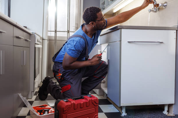 Best Water Heater Repair  in Ithaca, MI